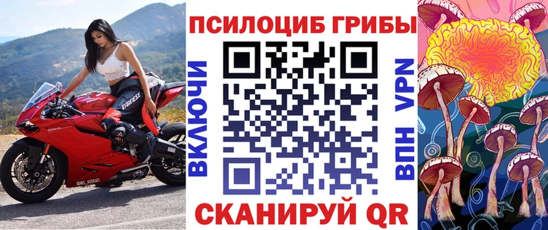 хочу   darknet Telegram  Галлюциногенные грибы прущие грибы  Апшеронск 